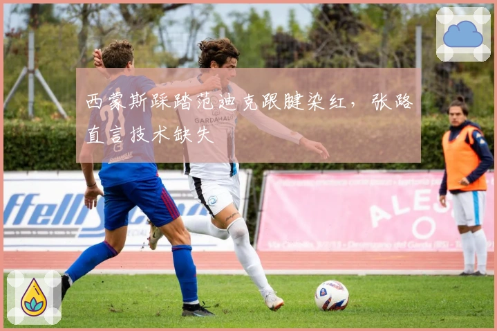 西蒙斯踩踏范迪克跟腱染红，张路直言技术缺失
