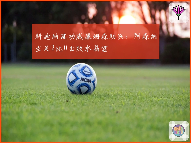 科迪纳建功威廉姆森助兴，阿森纳女足2比0击败水晶宫