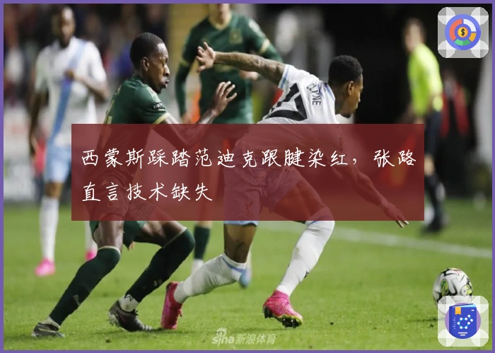 西蒙斯踩踏范迪克跟腱染红，张路直言技术缺失