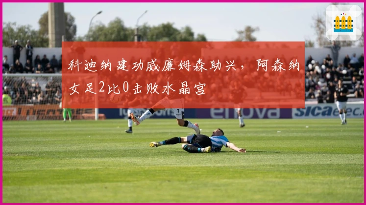 科迪纳建功威廉姆森助兴，阿森纳女足2比0击败水晶宫